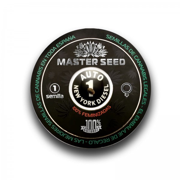 Семена конопли Master-Seed auto New York Diesel feminised
