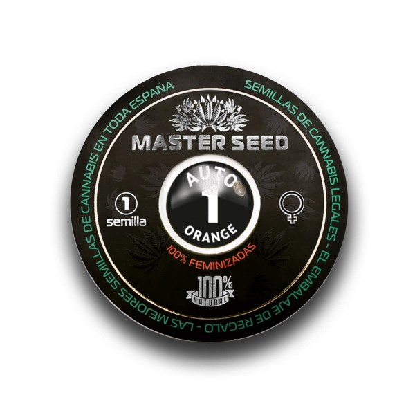 Семена конопли Master-Seed auto Orange feminised