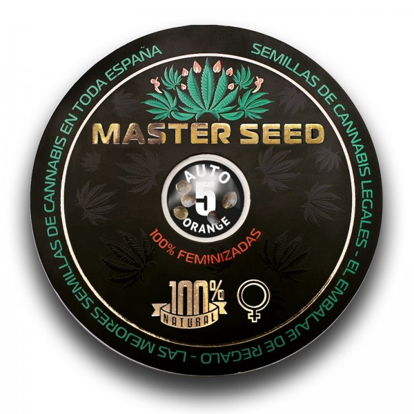 Семена конопли Master-Seed auto Orange feminised