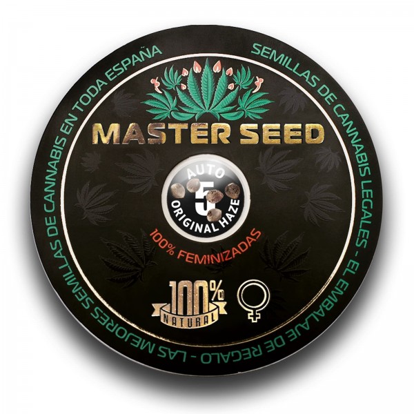 Семена конопли Master-Seed auto Original Haze feminised