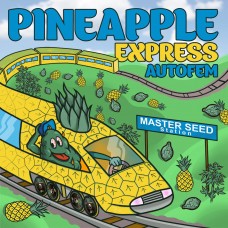 Master-Seed auto Pineapple Express feminised