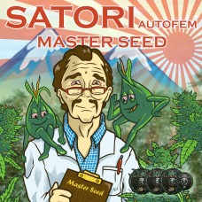 Master-Seed auto Satori feminised