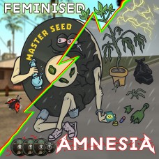 Master-Seed Amnesia feminised
