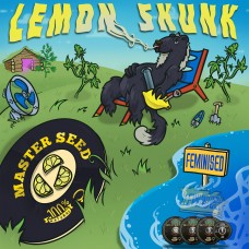 Master-Seed Lemon Skunk feminised