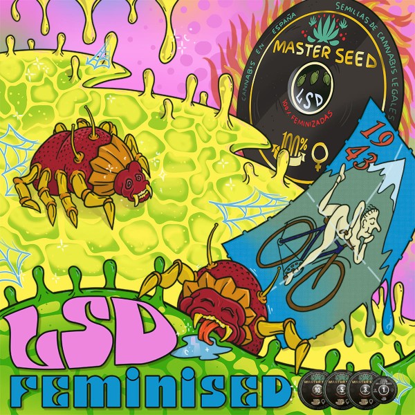 Насіння коноплі Master-Seed LSD feminised