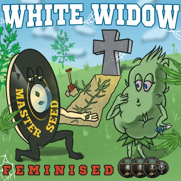 Семена конопли White Widow fem. XXL Premium Big Size