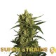 Насіння марихуани Crackers fem. Super Strains