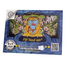 NYC Diesel autofem Sweet Seeds