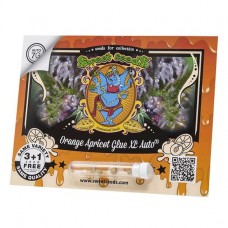 Orange Apricot Glue XL autofem Sweet Seeds