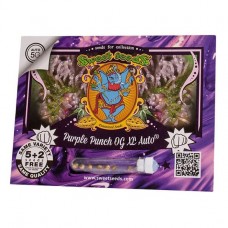Purple Punch OG XL autofem Sweet Seeds