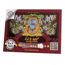S.A.D. Sweet Afgani Delicious autofem Sweet Seeds