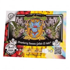 Strawberry Banana Gelato XL autofem Sweet Seeds