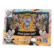 Sweet Gelato autofem Sweet Seeds