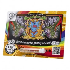 Sweet Mandarine Zkittlez XL autofem Sweet Seeds