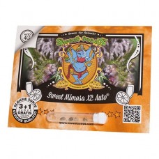 Sweet Mimosa XL autofem Sweet Seeds