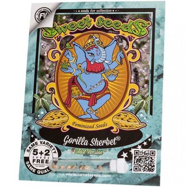Семена марихуаны Gorilla Sherbet F1 Fast Version fem. Sweet Seeds