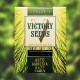 Семена марихуаны Amnesia Haze autofem. Victory Seeds