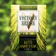 Насіння марихуани Amnesium autofem. Victory Seeds