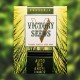 Насіння марихуани Big Angel autofem. Victory Seeds