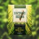 Семена марихуаны Bubblegum+ Pro autofem. Victory Seeds