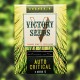 Семена марихуаны Critical autofem. Victory Seeds