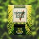 Насіння марихуани Jack Hammer autofem. Victory Seeds