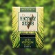 Семена марихуаны Northern Light autofem. Victory Seeds