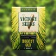 Семена марихуаны Biggest Bud fem. Victory Seeds
