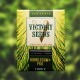 Насіння марихуани Bubblegum+ Pro fem. Victory Seeds