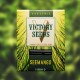 Насіння марихуани Seemango fem. Victory Seeds