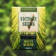 Семена марихуаны White widow fem. Victory Seeds