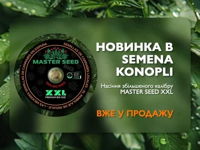 Новинка в Semena Konopli — насіння MASTER SEED XXL вже у продажу 