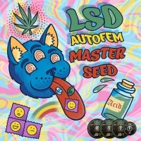 Master-Seed auto LSD feminised