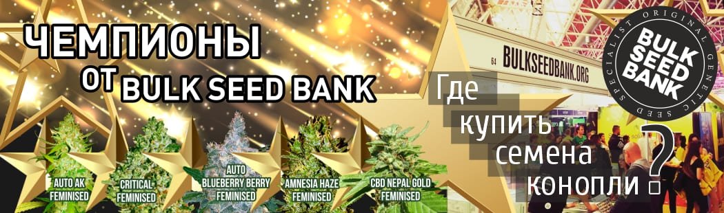 Мощные семена-чемпионы от Bulk Seed Bank