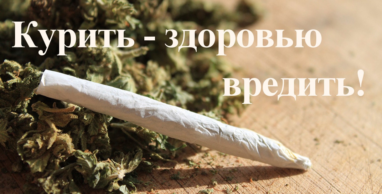 Вред здоровью курения марихуаны настройки прокси для тор браузера hydra2web