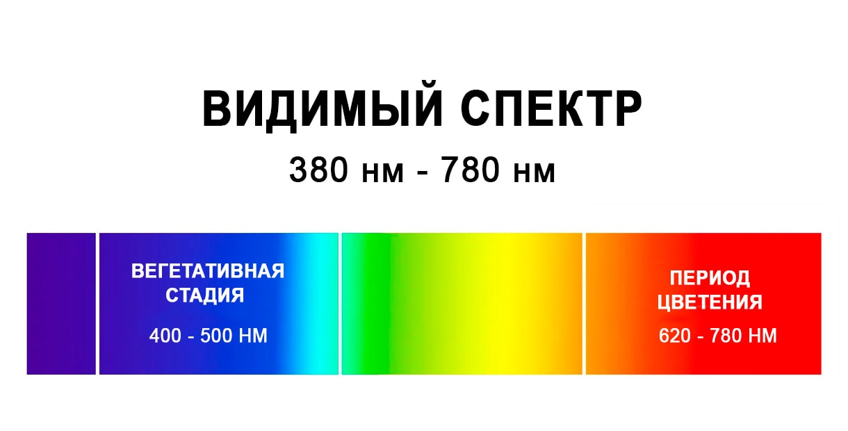 спектр света для конопли