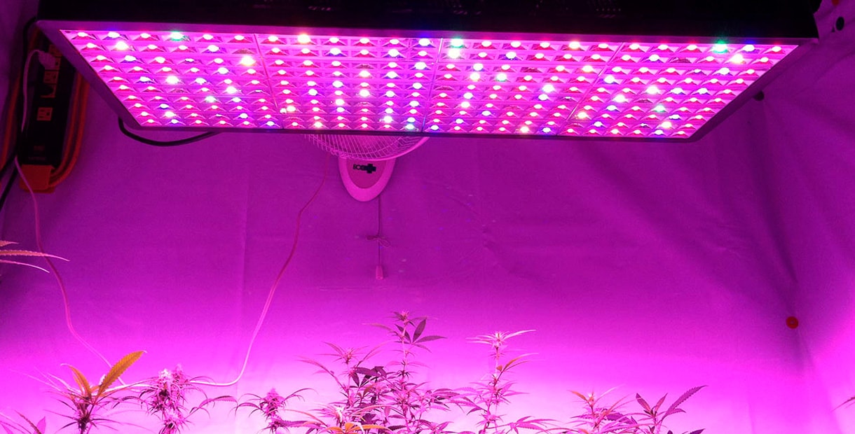 освещение для выращивания марихуаны