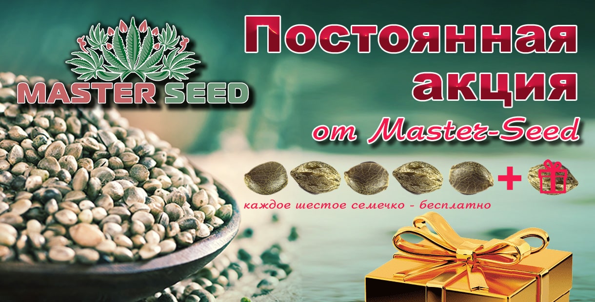 Семена конопли бонус установить тор браузер на русском бесплатно для андроид